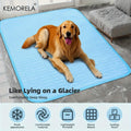 Pet Cooling Mat